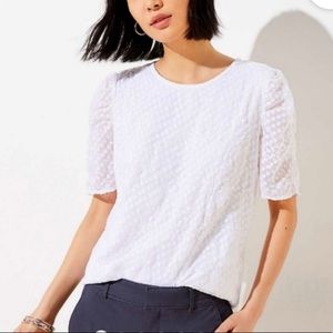 Loft white lace blouse